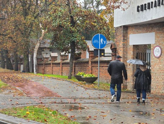 1 listopada MOPR zapewni bezpłatny transport door-to-door