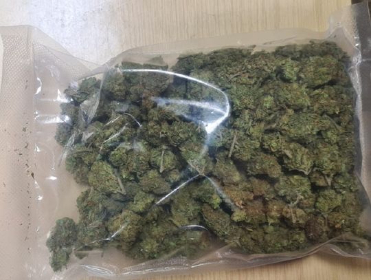 10 lat grozi włocławianinowi za 120 gram marihuany, znalezionych u niego w mieszkaniu 