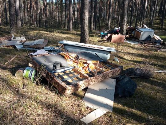 1000 zł mandatu i obowiązek posprzątania dla mężczyzny, który wyrzucał śmieci w lesie