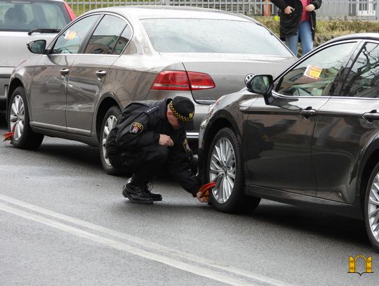 1246 blokad i 2309 mandatów karnych w 2020 roku. Straż Miejska prezentuje statystyki 