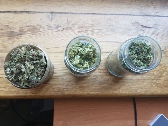 138 gramów marihuany w słoikach u 22-latka. Kara za to przestępstwo to aż 10 lat pozbawienia wolności