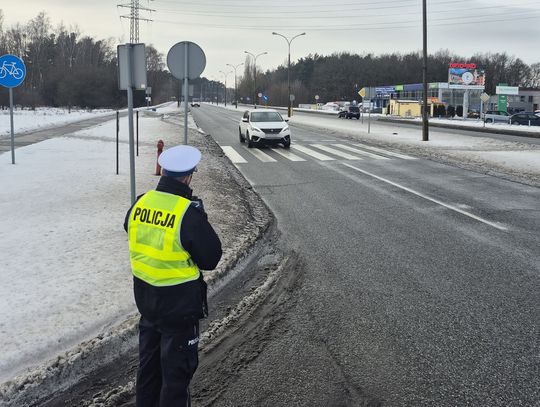 168 wykroczeń w jeden dzień. Policja sprawdziła kierowców przy pasach