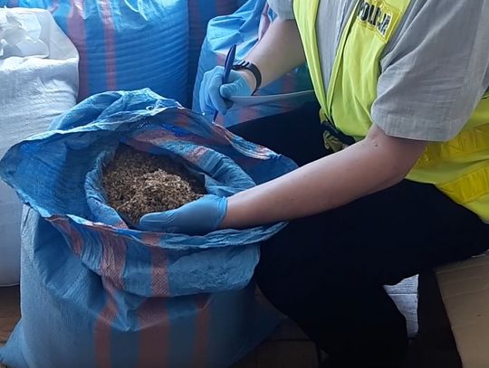 38-latek z Włocławka naraził Skarb Państwa na stratę w wysokości około 154 tys. zł 