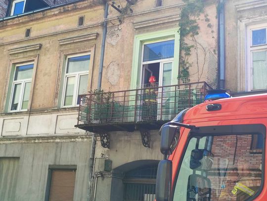 4 zastępy PSP i strażak na balkonie. Co wydarzyło się na ul. Żabiej?