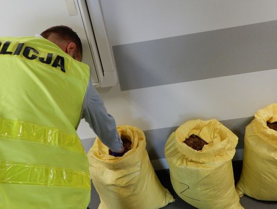 44 kg krajanki tytoniowej wartości 45 tys złotych ujawnili policjanci podczas kontroli na ul. Toruńskiej