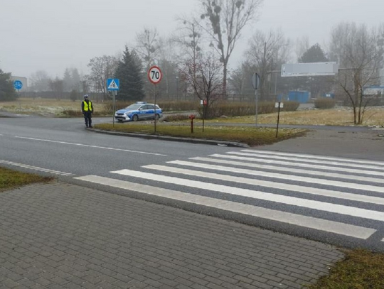 Akcja "Bezpieczny pieszy" we Włocławku. Policja ujawniła kilkadziesiąt wykroczeń