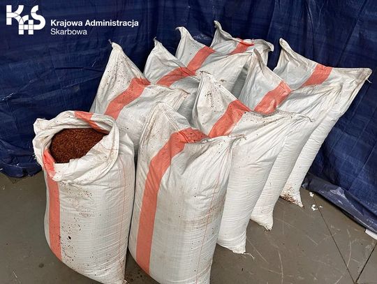 Akcja KAS w województwie. Wpadł włocławianin, mieszkanka pow. lipnowskiego i 40-latek z toruńskiego 