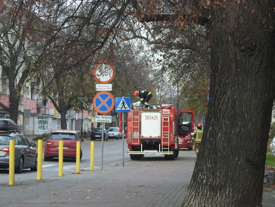 Akcja straży na al. Chopina. Ptak zaplątał się w reklamówkę foliową