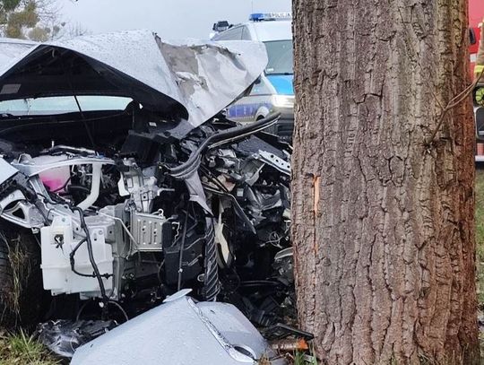 Alfa Romeo uderzyła w drzewo w Wistce Szlacheckiej. Ruch odbywa się wahadłowo