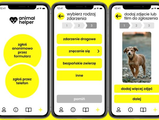 Animal Helper czyli 112 dla zwierząt. Aplikacja Fundacji Psia Krew weszła w fazę testów