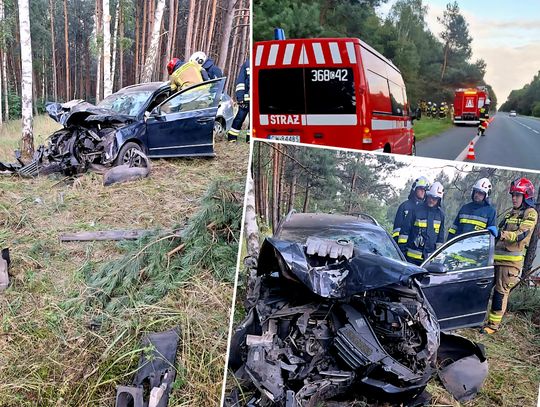 Wypadek w Warząchewce. Kierowca uderzył w drzewo