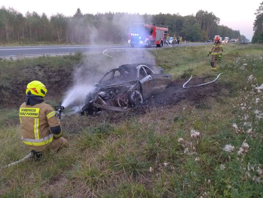 Auto w płomieniach po zderzeniu z łosiem. Kierowca z urazami zdążył opuścić pojazd