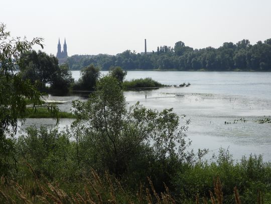 Bulwary, park im. H. Sienkiewicza, część terenów Zawiśla i Płockiej zostaną dziś opryskane
