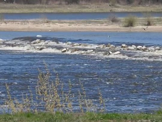 Były dyrektor i zastępca Zarządu Zlewni we Włocławku z zarzutami o znaczne zniszczenia w świecie zwierzęcym. Chodzi o zalanie gniazd ptaków chronionych w okresie lęgowym w 2018 roku