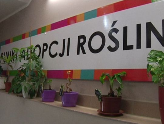 Centrum Wolontariatu otworzyło "Punkt adopcji roślin"- mają nawet imiona...
