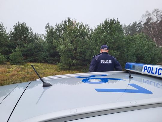 Jak przewieźć świąteczną choinkę i nie dostać mandatu?