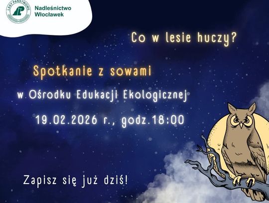 "Co w lesie huczy?” Nadleśnictwo Włocławek zaprasza na spotkanie z sowami