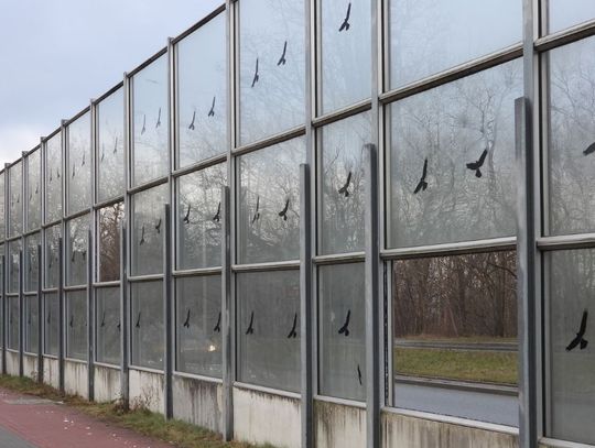 Ekrany na Toruńskiej na razie pozostaną brudne, MZiDiT nie ma funduszy