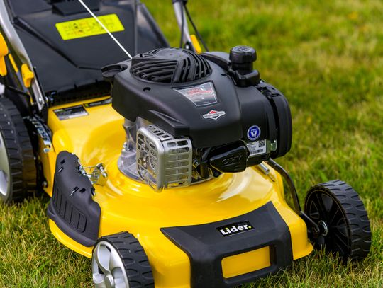 Czy warto mulczować trawę podczas wiosennego koszenia?