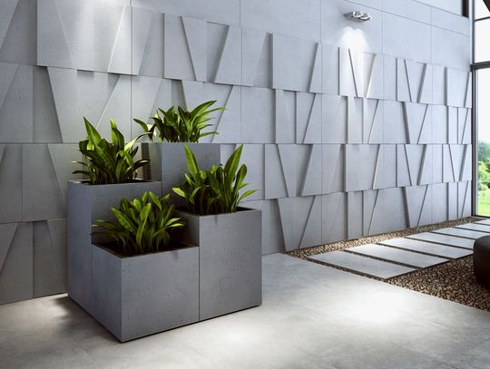 Domowe rośliny w nowoczesnych aranżacjach wnętrz. Zobacz czego użyć, aby wyeksponować żywe kolory we właściwy sposób