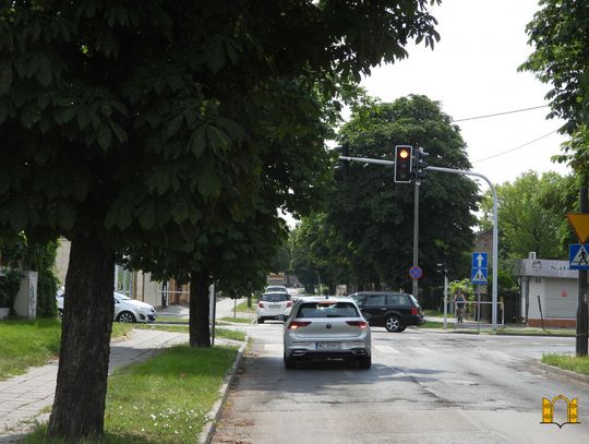 Drzewo zasłania sygnalizator świetlny. "To wyjaśnia dlaczego w tym miejscu dochodzi do tylu wypadków" 