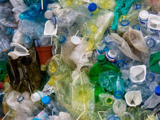 Dzieci z Włocławka i regionu zebrały ponad 500 000 butelek do recyklingu