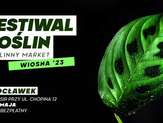 Festiwal Roślin znów zawita we Włocławku. Nowe gatunki roślin i ceny od 5 zł