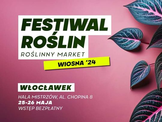 Festiwal Roślin znów zawita we Włocławku