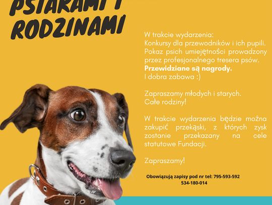 Fundacja Stop Zło organizuje spotkanie z psiakami i rodzinami