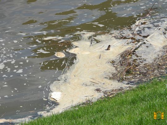 Główny Inspektor Sanitarny apeluje: unikaj kąpieli i sportów wodnych w Wiśle od Warszawy w stronę Gdańska!