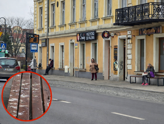 Gołębie odchody problemem w Śródmieściu. Miasto przeniosło ławki Gołębie odchody problemem w Śródmieściu. Miasto przeniosło ławki