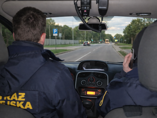 Graffiti i nielegalna wycinka drzew. Interwencja przy opuszczonych posesjach Graffiti i nielegalna wycinka drzew. Interwencja przy opuszczonych posesjach