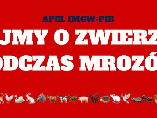 IMGW apeluje: "Dbajmy o zwierzęta podczas mrozów"