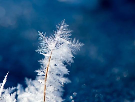 IMGW ostrzega przed oblodzeniem. W nocy ma być do -4°C