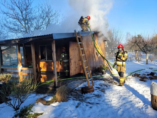 Interwencja strażaków przy ul. Spokojnej. Spłonął domek letniskowy