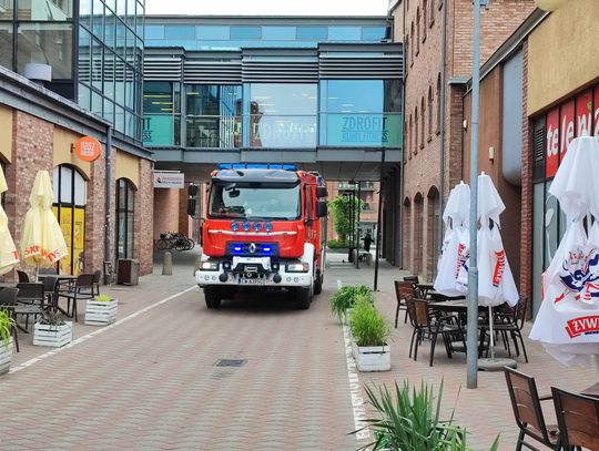 Interwencja strażaków we Wzorcowni. Przepaliło się przyłącze energetyczne