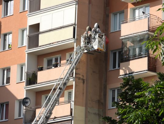 Interwencja straży pożarnej na Placu Kolanowszczyzna. Przyczyną akcji były pszczoły 