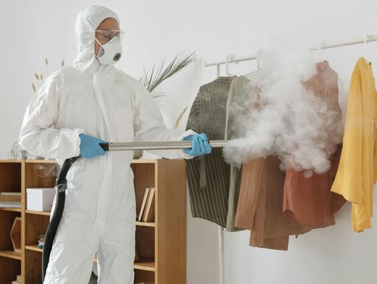 Jak skutecznie zwalczać pluskwy? Poradnik dla każdego