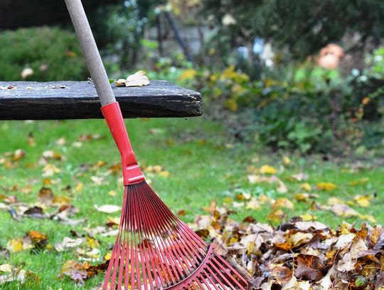 Jakie urządzenia do porządkowania ogrodu warto mieć jesienią i zimą?