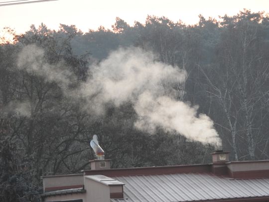 Jakość powietrza coraz gorsza. Ryzyko przekroczenia poziomu benzo(a)pirenu