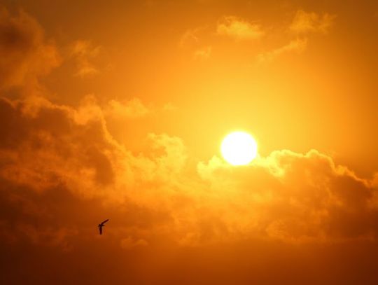 Jutro częściowe zaćmienie Słońca