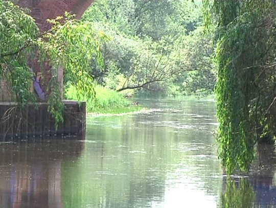 Jutro kolejny zabieg na meszki. Spryskanych ma zostać 35 ha