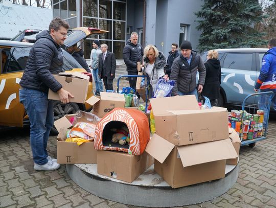 "Karma wraca" czyli finał akcji w której zebrano ponad 500 kg karmy dla zwierząt ze schroniska