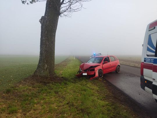 Kierowca Opla uderzył w drzewo. Został ukarany mandatem