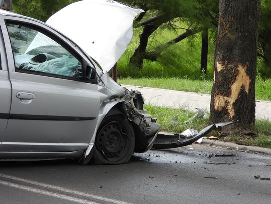 Kierująca Toyotą 26-latka uderzyła w drzewo. Dwie osoby w szpitalu