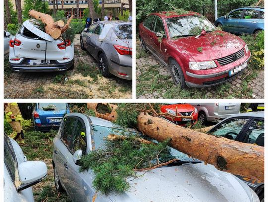 Kilkanaście aut przygniecionych przez drzewa w Wieńcu. Na miejscu OSP Brześć i Machnacz