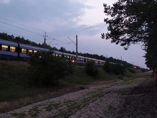 Kolejna tragedia na torach. Ciało kobiety "rozerwane" przez pociąg 