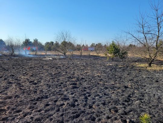 Kolejne podpalenie nieużytków. Strażacy apelują aby nie wpalać traw