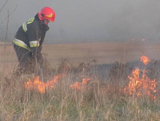 Kolejny pożar, nieopodal ul. Kruszyńskiej. Niemalże w tym samym miejscu co wczoraj