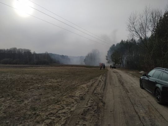 Kolejny pożar w pobliżu Włocławka. W akcji helikopter gaśniczy